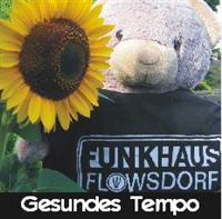 FunkhausFlowsdorf - Gesundes Tempo erschienen 2006
